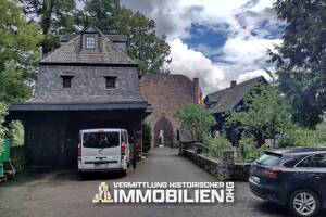 Historische Höhenburg in Rheinland-Pfalz mit 24,6 ha in Alleinlage – 54293 Trier – Vorschaubild 3