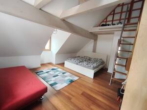 Große Maisonette-Wohnung im grünen Herzen von Regensburg – Stadtamhof – 93059 Regensburg – Vorschaubild 8