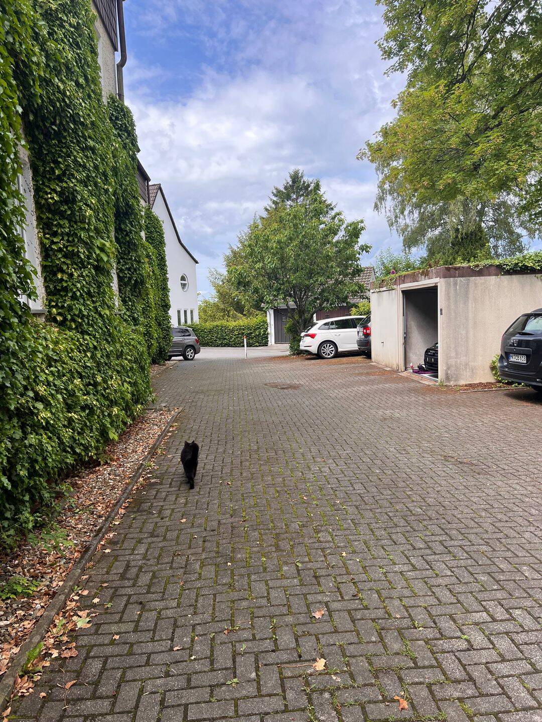 3 Zi- ETW, 93 qm Wfl., sehr ruhige Lage, großer Südbalkon, mit Stellplatz und hochw. Einbauküche – Lüdenscheid – Vorschaubild 7