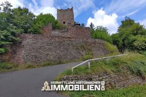 Historische Höhenburg in Rheinland-Pfalz mit 24,6 ha in Alleinlage – 54293 Trier – Vorschaubild 2
