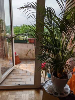 Top Kapitalanlage: Gepflegte 1,5 Zimmer Wohnung mit Balkon & Fahrstuhl und Weitblick – 22455 Hamburg – Vorschaubild 9