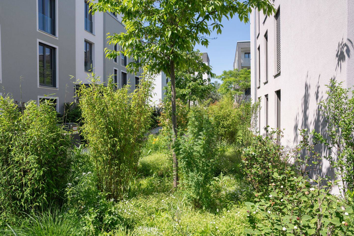 3-Zimmer-Wohnung mitten im Grünen – Wohnen mit Ausblick – Brühl – Vorschaubild 9