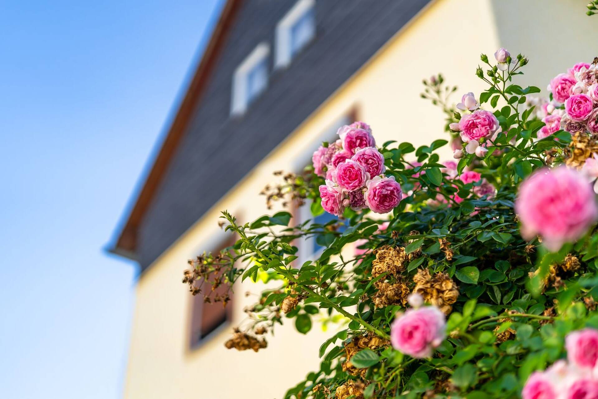 Bauernhaus in 35583 Wetzlar mit 125 m² kaufen