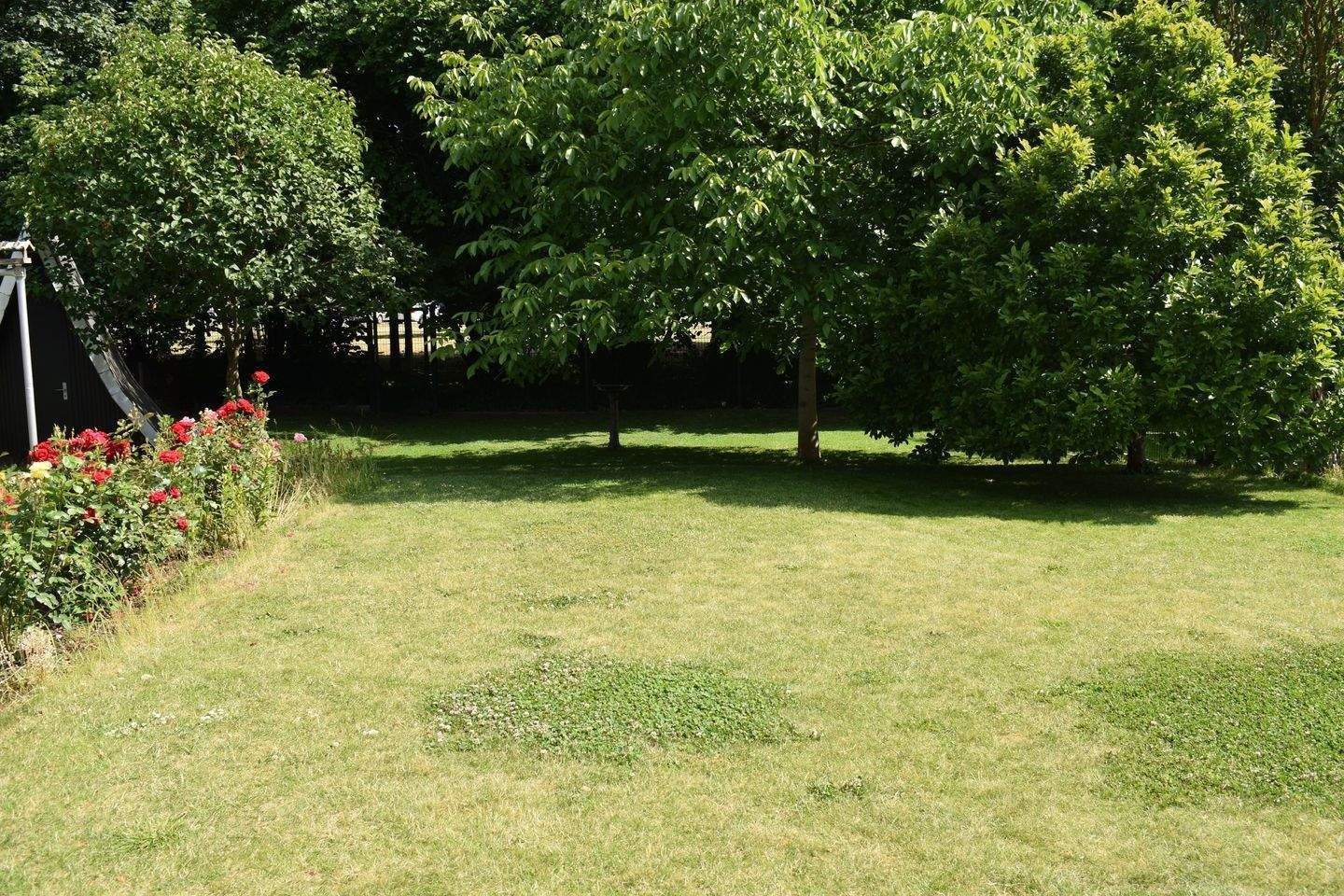 Gepflegte Doppelhaushälfte in ruhiger Lage von Borna – sofort bezugsfrei - auf Wunsch möbeliert – Borna – Vorschaubild 8