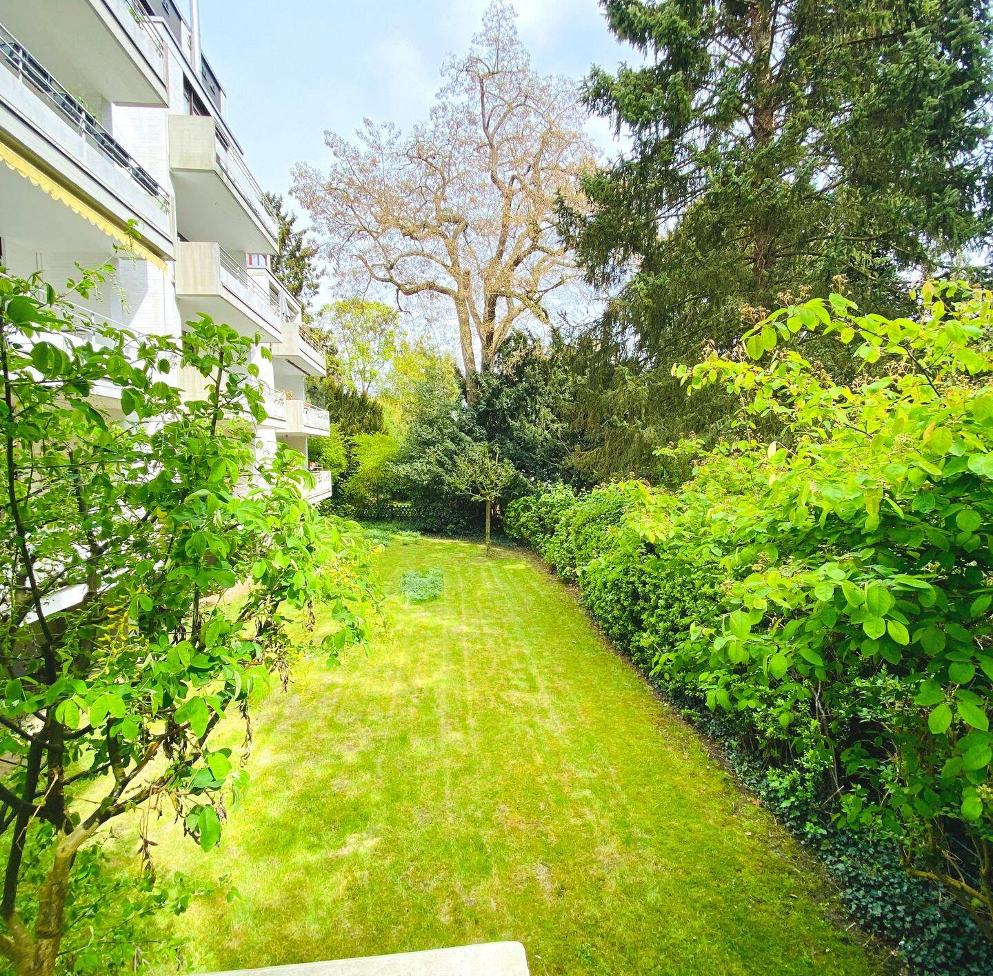 Ruhige, idyllische Parklage im Wachmannstraßen-Quartier: 140 qm sanierte 4,5 Zimmer-ETW, Loggia, TG. Georg-Gröning-Str. – Bremen – Vorschaubild 2