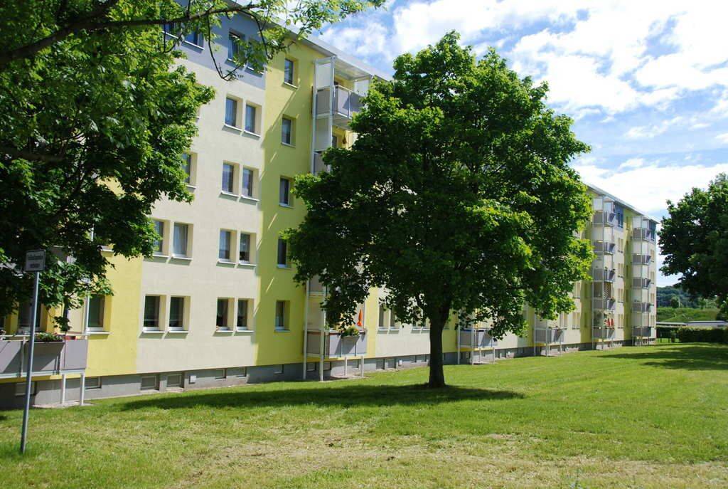 Tolle 2-Raum-Wohnung mit Tageslichtbad