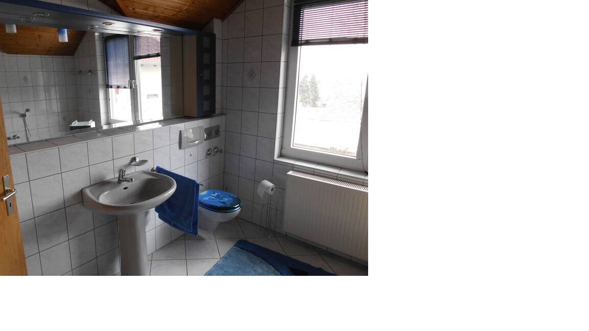 Geräumige,helle Wohnung mit 2 Balkonen und Keller – Kassel – Vorschaubild 8