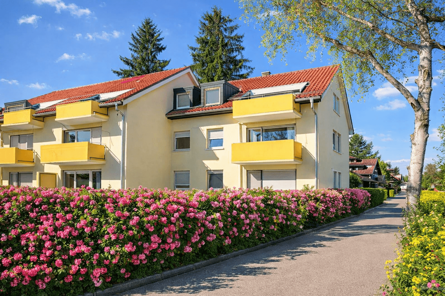 Sonnige Dachterrasse mit Alpenblick – München – Vorschaubild 8