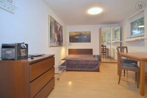 Möbliertes 1-Zimmer Apartment im Souterrain mit Internet in Mainz