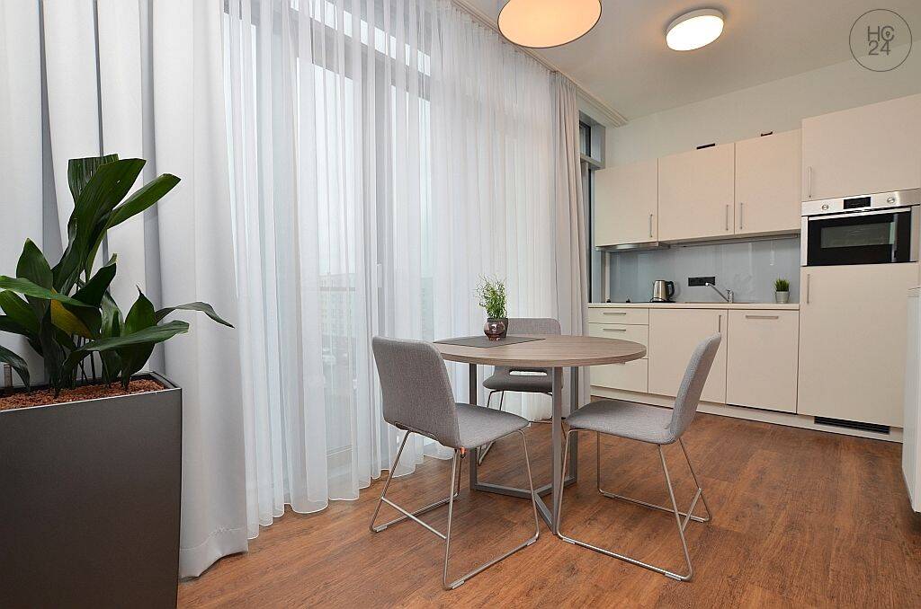 Modern und hell möblierte 1-Zimmerwohnung in Würzburg/Frauenland mit Wlan – Würzburg – Vorschaubild 5