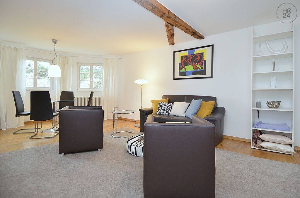 Schicke möblierte 3-Zimmer Wohnung mit Waschmaschine in der Mainzer Oberstadt – Mainz – Vorschaubild 6