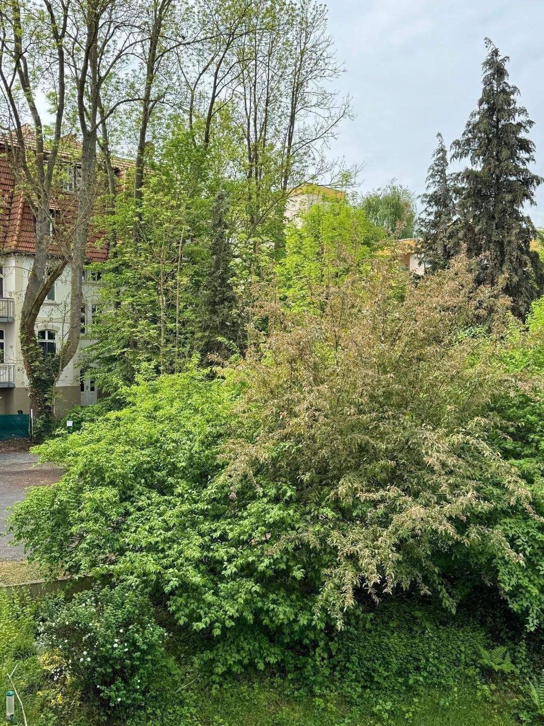 VERKAUFT !!! 1 OG. Super Lage! Bad Wilhelmshöhe. Zwischen Bergpark und ICE-Bahnhof. Tiefgarage. Hinterhausbebauung. – Kassel – Vorschaubild 9