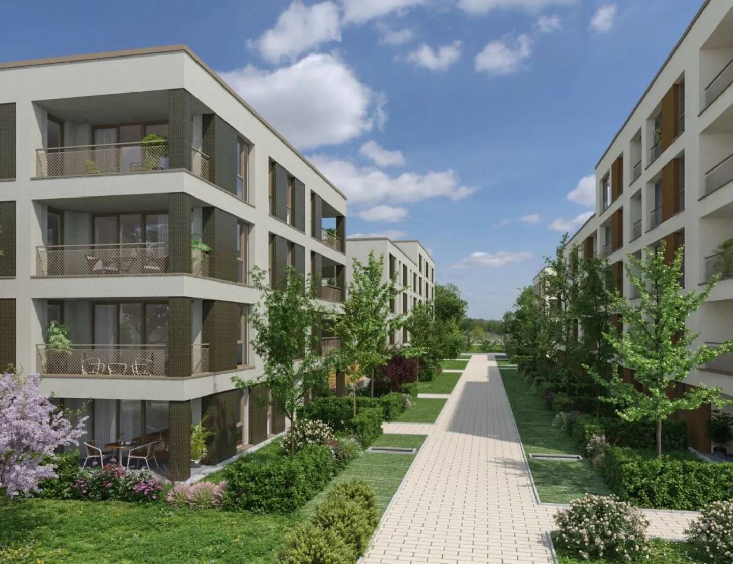 Bezahlbares Wohnen in Darmstadt – Darmstadt – Vorschaubild 5