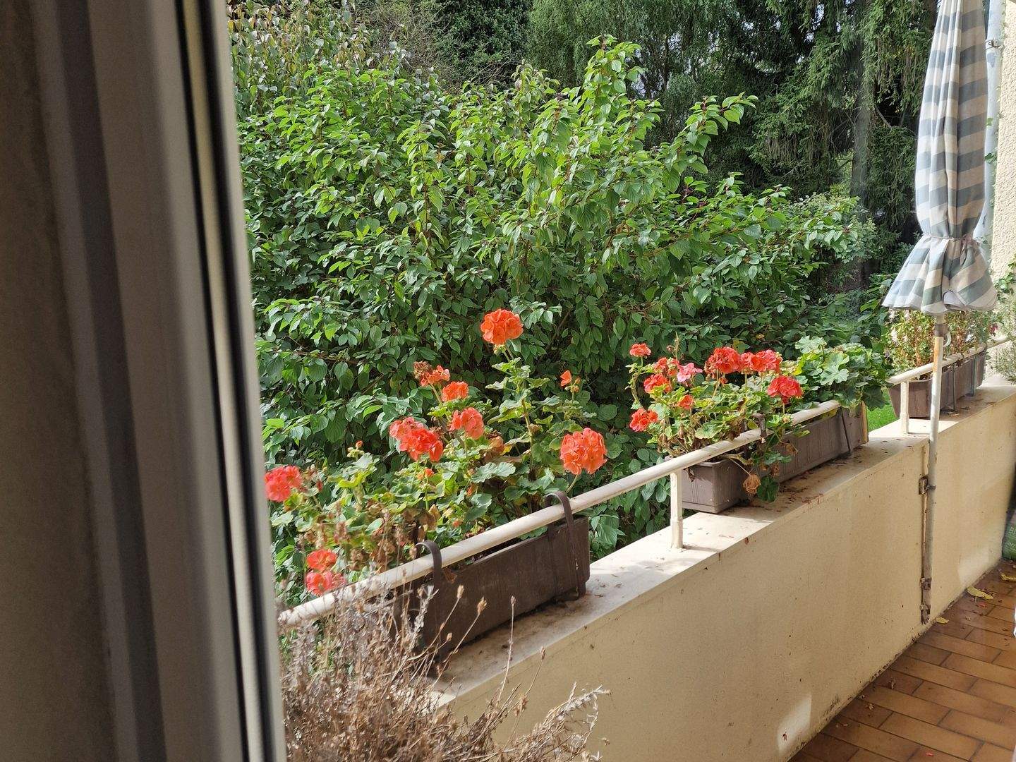 3-Zi. Wohnung mit Garten nähe Grafenberger Wald – Düsseldorf – Vorschaubild 2