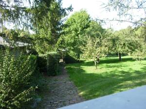 Herrliches, großes und gepflegtes Gartengrundstück mit Gartenhaus und Nebengebäude in ruhiger Lage von Erfurt-Bischleben – 99094 Erfurt – Vorschaubild 3