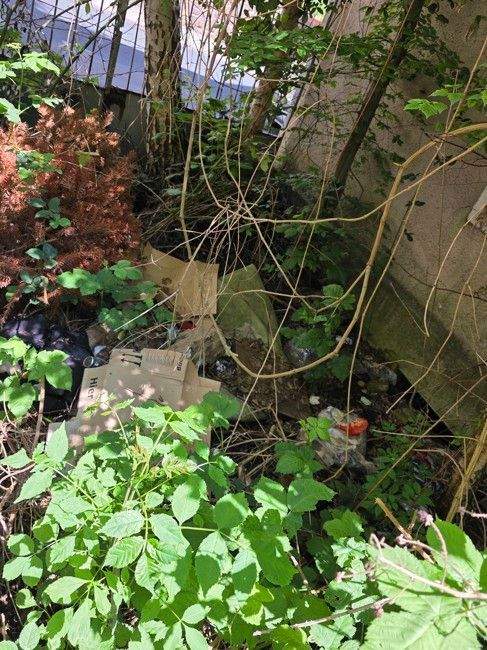 Grundstück mit ruinösem Haus – Meißen – Vorschaubild 3