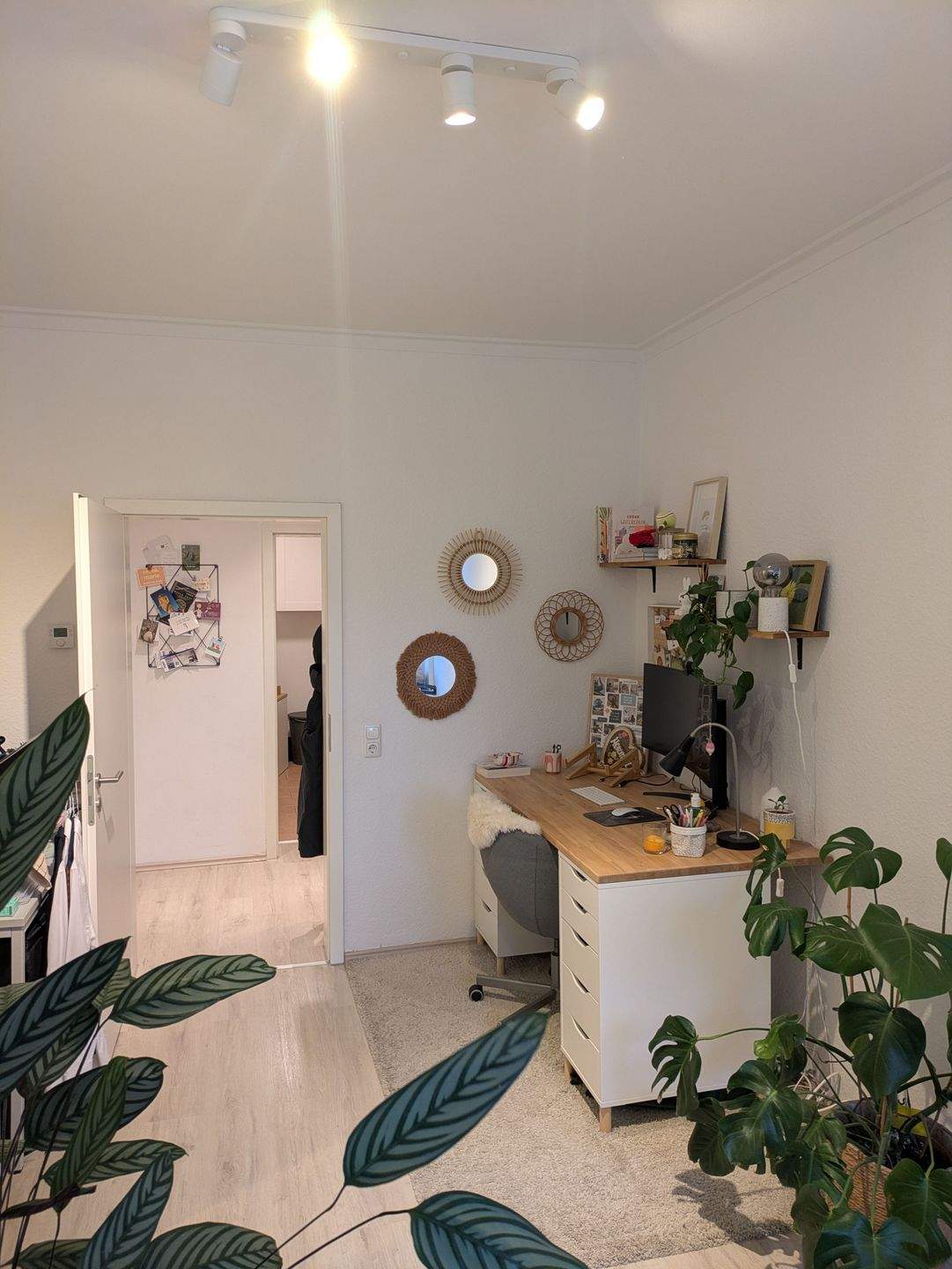 3 Zimmer Erdgeschoß Wohnung in Essen- Frohnhausen! – Essen – Vorschaubild 7