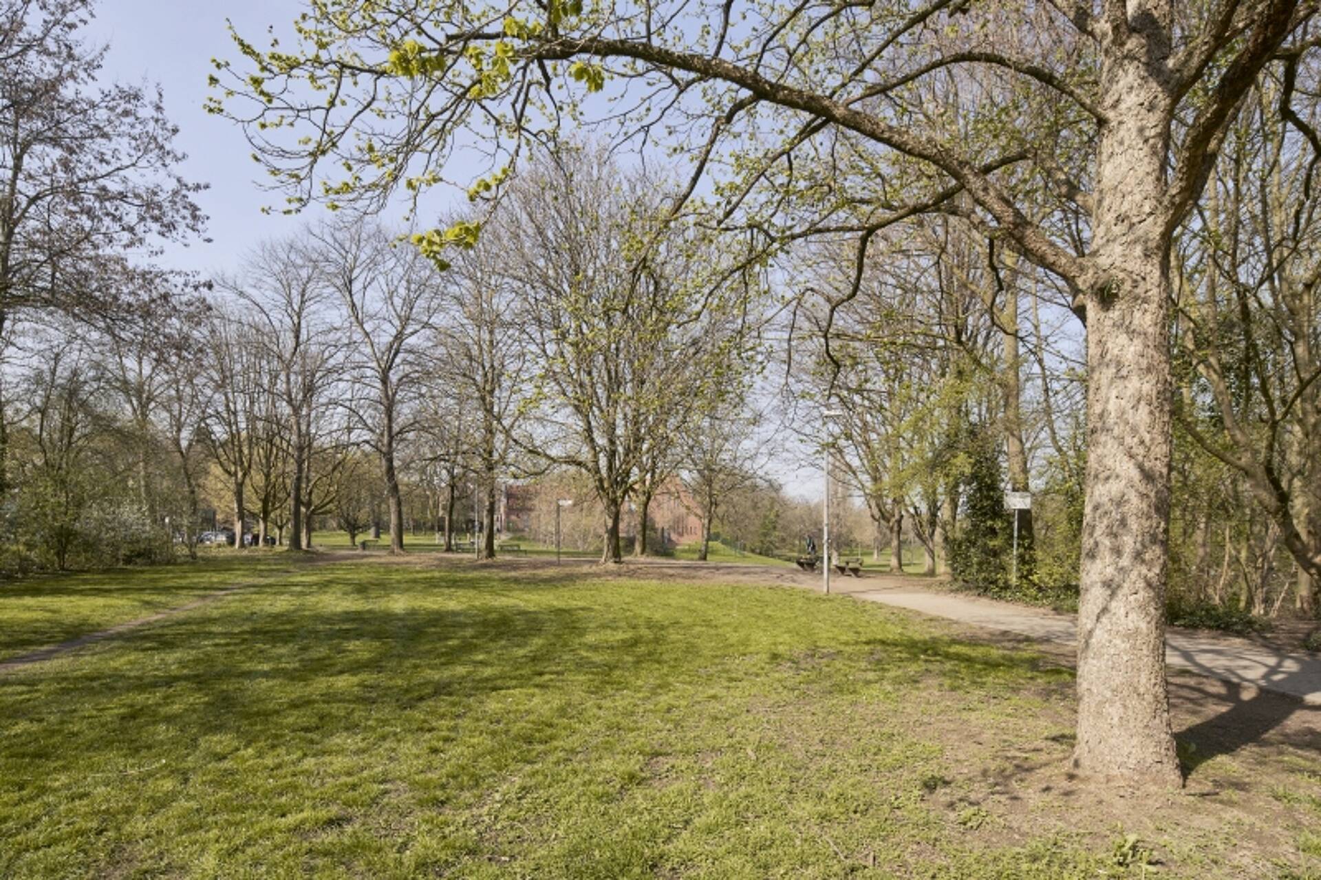 Rohdachboden in 50733 Köln mit 85 m² kaufen