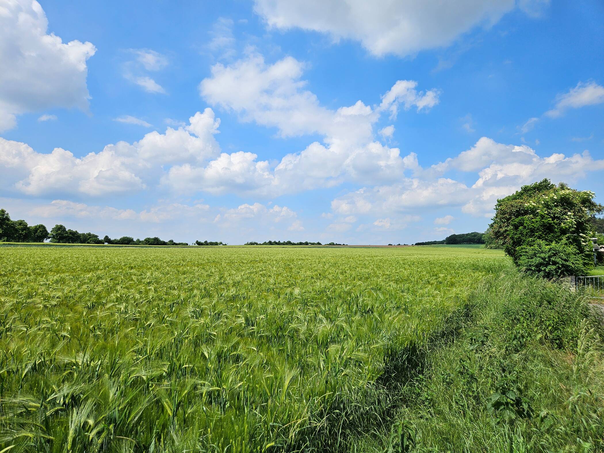 Familienleben auf einer Ebene im kommenden Baugeb. in Bennigsen. – Springe – Vorschaubild 4
