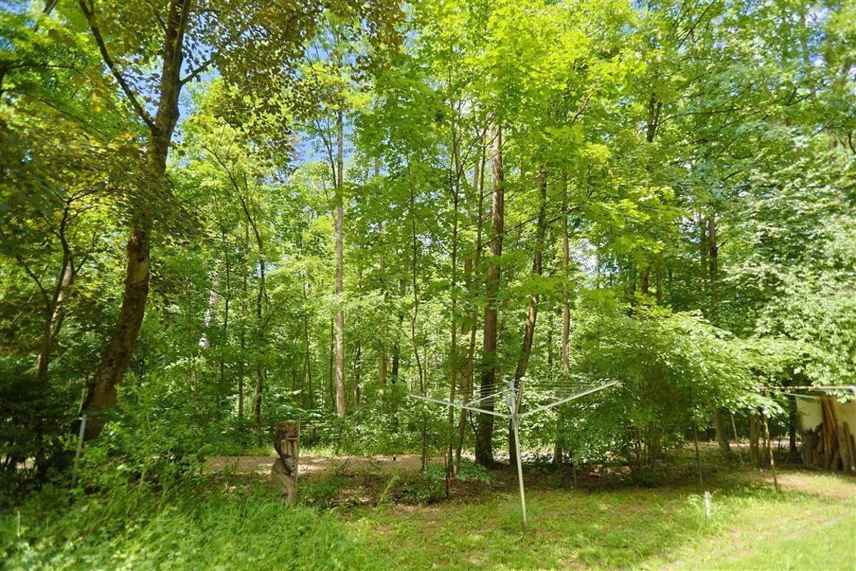 München an den Isarauen: freie, gemütliche 2,5-Zi.-Whg. im Hochparterre mit 2 Loggien – 81543 München – Bild 1 von 9
