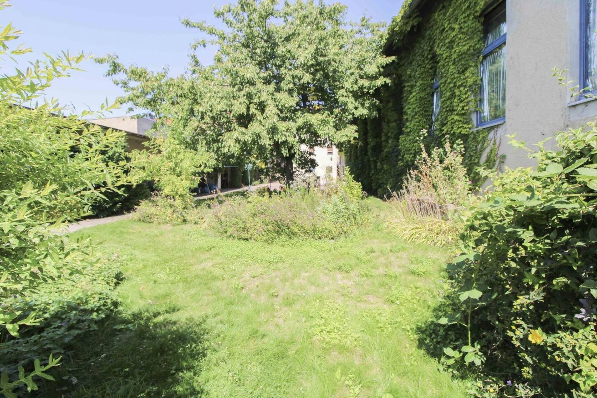 Haus in 06888 Lutherstadt Wittenberg mit 360 m² kaufen