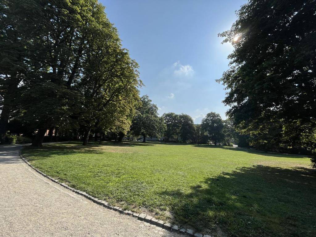 Charmante Dachgeschosswohnung in attraktiver Wohnlage – Chemnitz – Vorschaubild 6