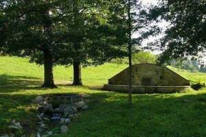 *Erstbezug in Leubnitz-Neuostra - kleine 2-Raumwohnung mit Terrasse und Garten * – 1219 Dresden – Vorschaubild 2