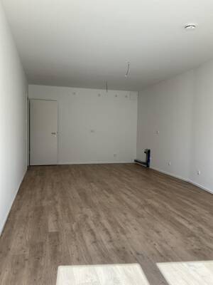 2-Zimmer-Wohnung in Essen Südviertel – 45128 Essen – Vorschaubild 6