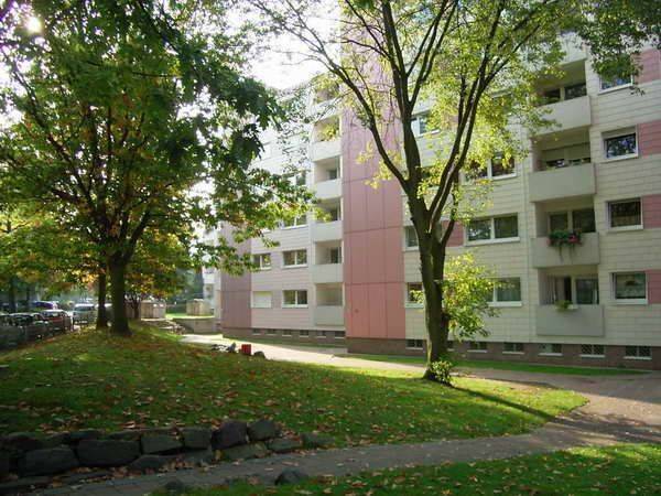 3-Zimmer-Wohnung in Bochum Steinkuhl – Bochum – Vorschaubild 9