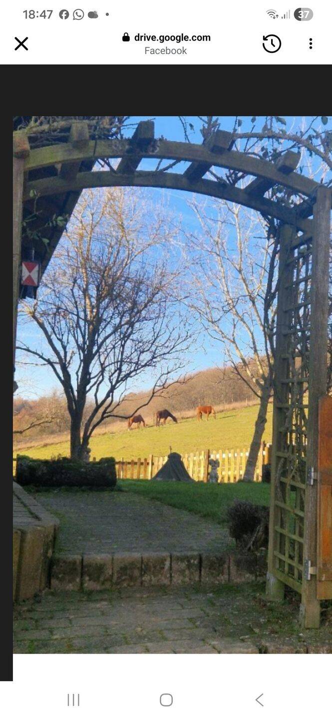 Wunderschöner Pferdehof zu verkaufen Provisionsfrei in 55765 Elchweiler Pferdehaltung genehmigt – Elchweiler – Vorschaubild 7