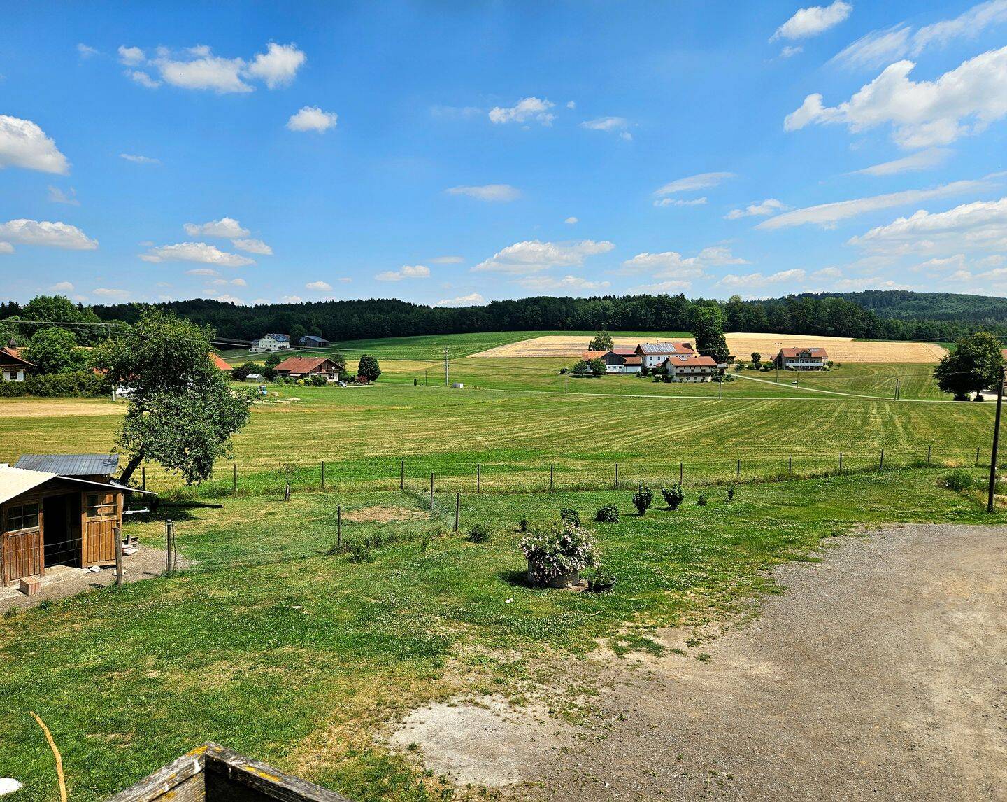 Großzügige Eigentumswohnung mit Terrasse auf ländlichem Anwesen nahe Furth im Wald – Furth im Wald – Vorschaubild 8