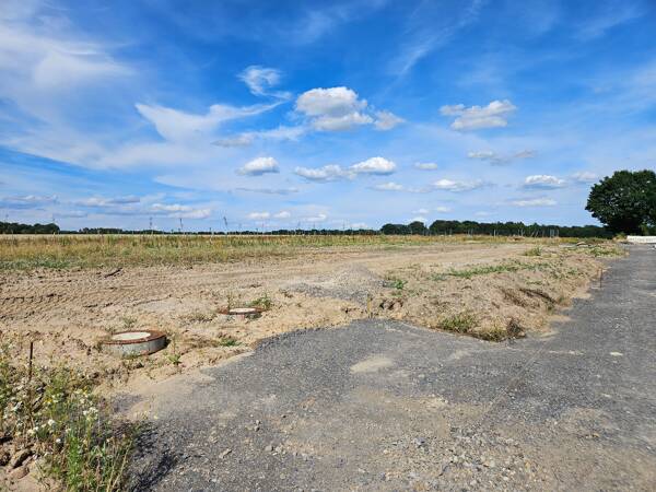 Einfamilienhaus in 29664 Walsrode mit 166 m² kaufen