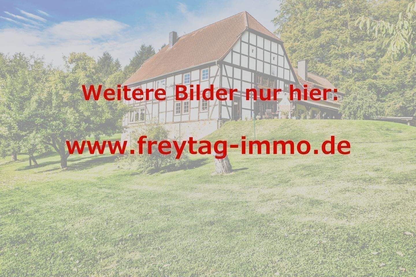 10-Zimmerhaus: Die Alte Schmiede in Schoningen – Uslar – Vorschaubild 3