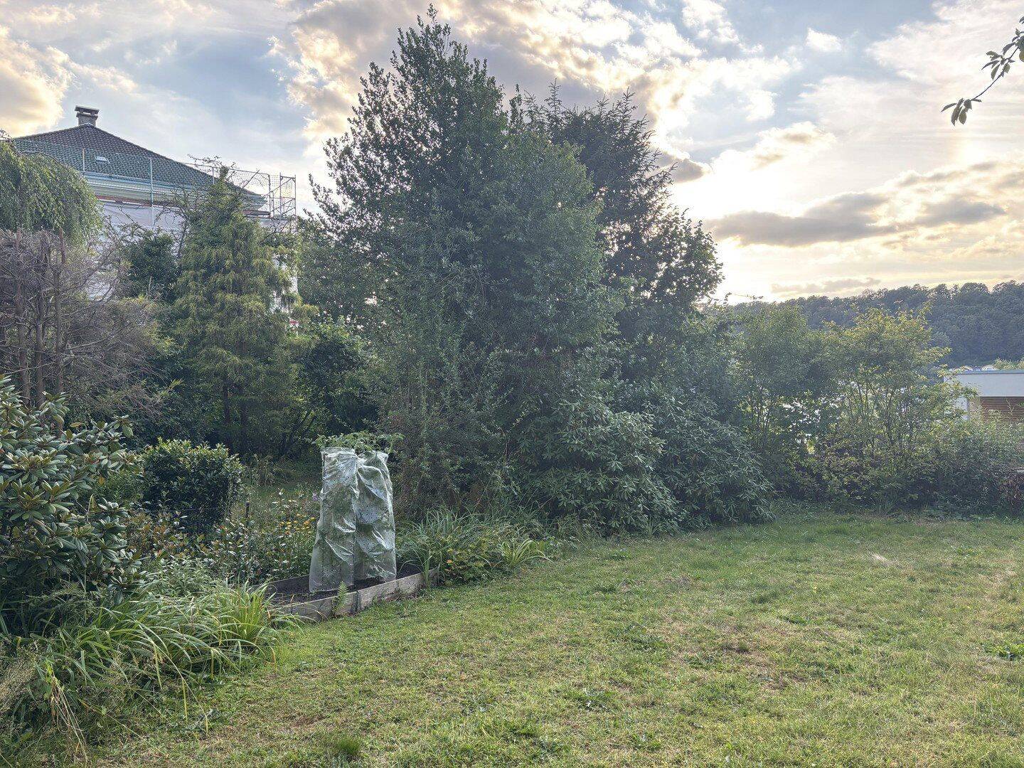 Schöne Erdgeschosswohnung in der Schloßstrasse – Wuppertal – Vorschaubild 2