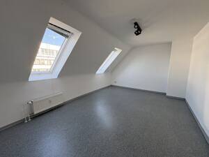 Penthouse-Feeling in 3-Zimmer-Wohnung - ideal zur WG-Vermietung oder Selbstnutzung – 68199 Mannheim – Vorschaubild 5
