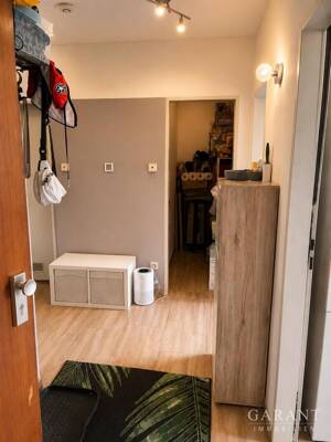 Helle 2 Zimmer-Wohnung mit Balkon und Loggia in begehrter Münchner Wohnlage - Erbbaupacht – 81549 München – Vorschaubild 2
