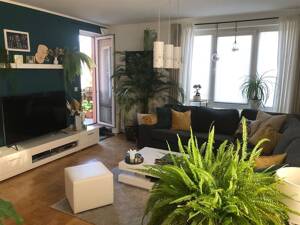 MIT GROßEM BALKON UND EBK - Schöne 2-Zimmer-Wohnung in Bernau-Friedenstal – 16321 Bernau – Vorschaubild 8