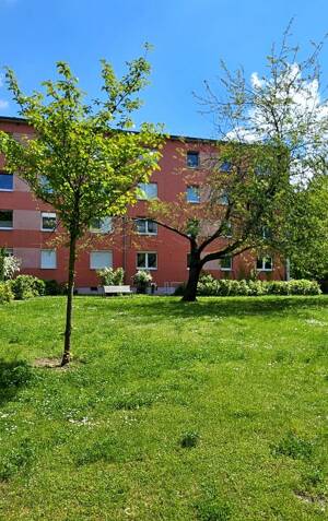 Hauptstadtmakler-Schöne Wohnung zur Eigennutzung oder Kapitalanlage – 10409 Berlin – Vorschaubild 2