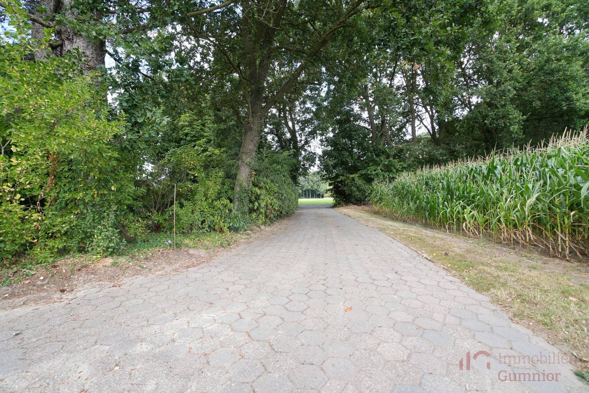 Bauernhaus in 48431 Rheine mit 174,58 m² kaufen