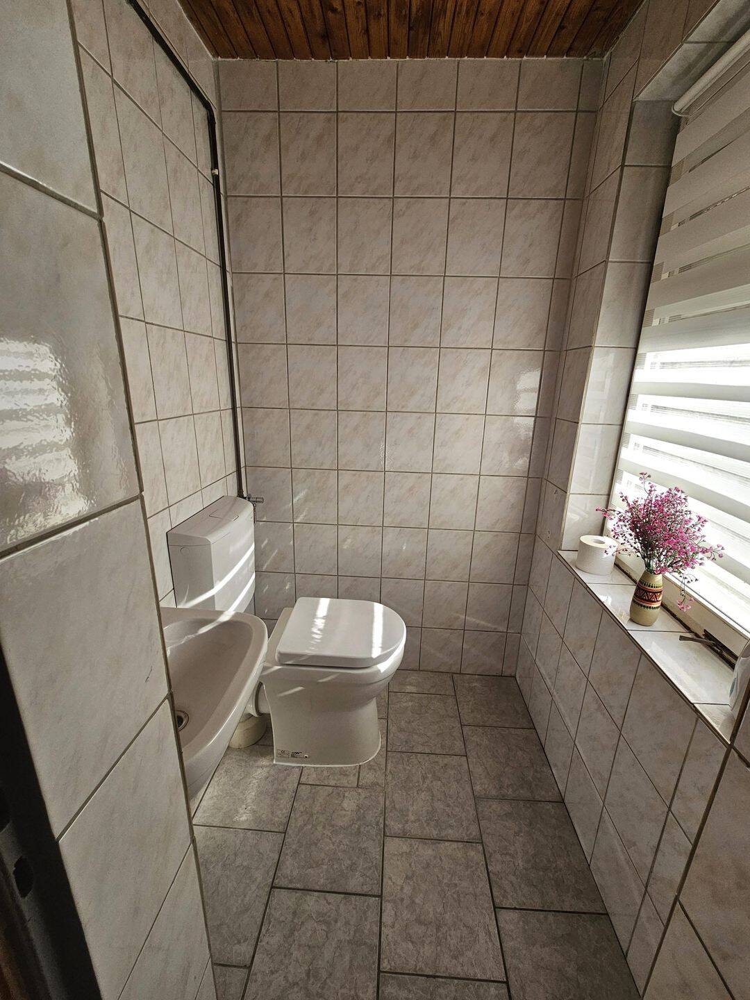 Ca. 3.555 m² eingezäuntes Grundstück mit ca. 550 m² BGF Bestand (EFH, 3 Garagen, Werkstatt) – Leipzig – Vorschaubild 9