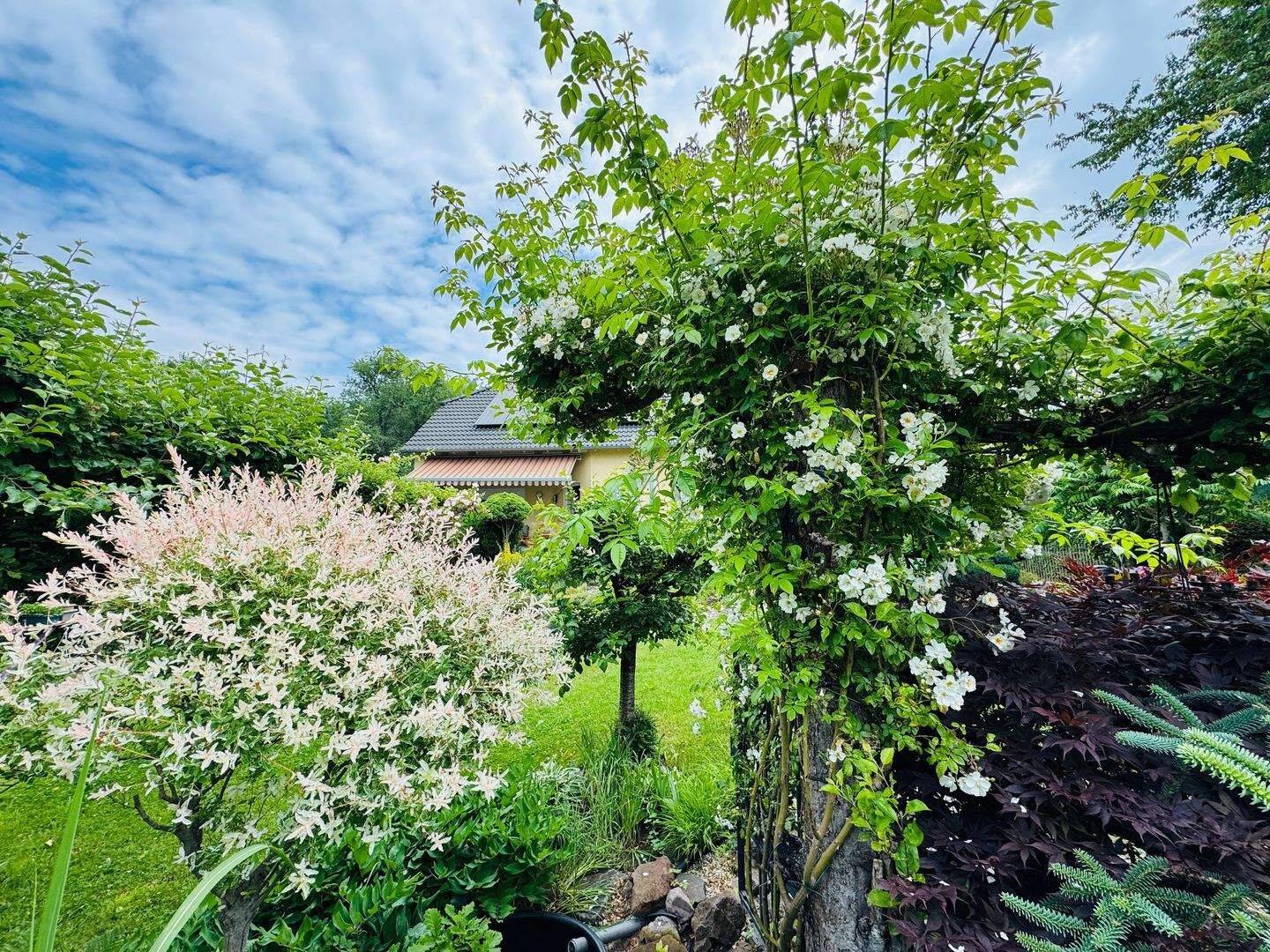 Zwei Wohnungen oder ein Zuhause für die große Familie mit liebevoll angelegtem Garten, Photovoltaikanlage, in ruhiger Wohnlage! – Amt Wachsenburg – Vorschaubild 2