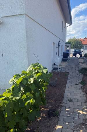 2.5 Zimmer Wohnung in Lichtenwald – 73669 Lichtenwald – Vorschaubild 5
