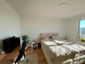 Exklusive 2-Zi.-Neubauwohnung mit Balkon, EBK & TG-Stellplatz - ideal für 1-2 Personen – 55130 Mainz – Vorschaubild 9