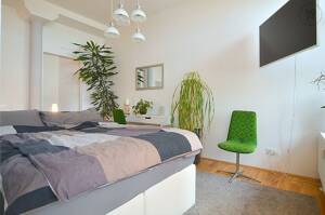 Modern möbliertes 1-Zimmer-Loft mit WLAN und Balkon in Fürth – 90762 Fürth – Vorschaubild 2