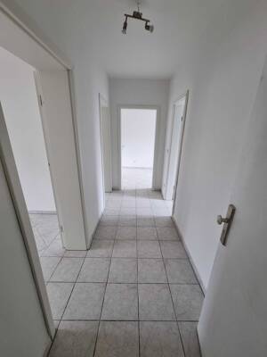 Nordsternpark um die Ecke! Schöne helle Wohnung im 2.OG in GE-Horst sucht Mieter - 3,5 Zi. 65m² mit Fensterbad