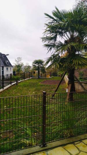 Freistehendes Einfamilienhaus in Koblenz – 56076 Koblenz – Vorschaubild 4