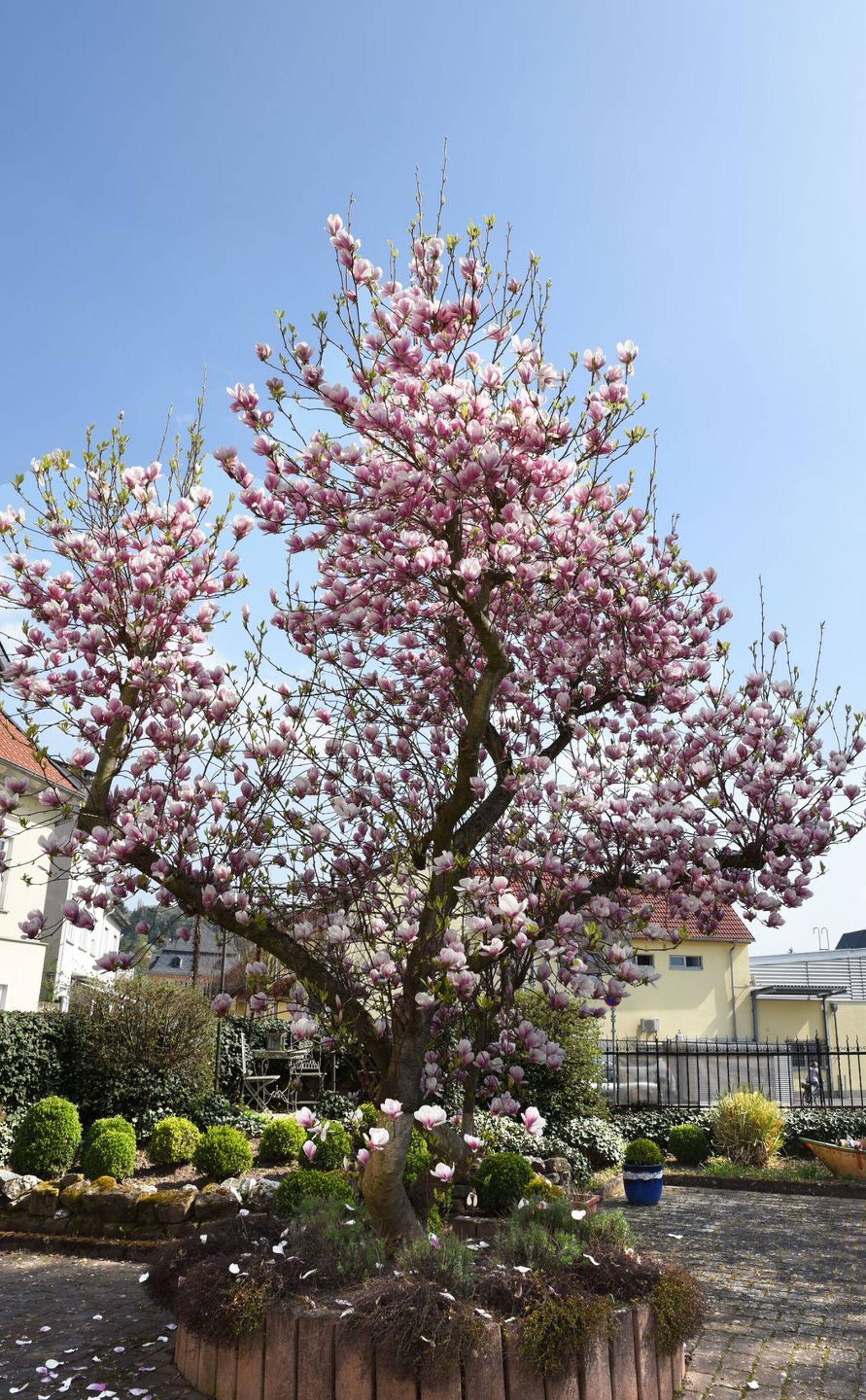 Haus in 55566 Bad Sobernheim mit 480 m² kaufen