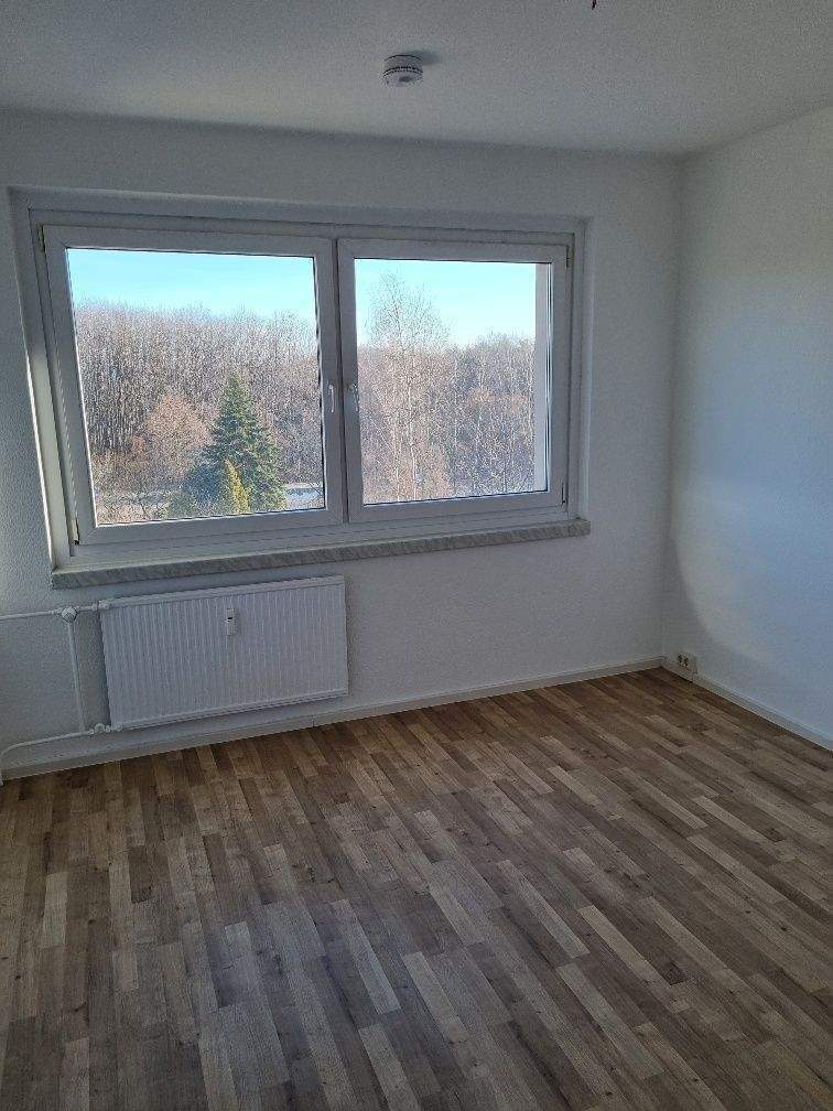 Kleine 3 Raumwohnung zum Wohlfühlen – Chemnitz – Vorschaubild 4