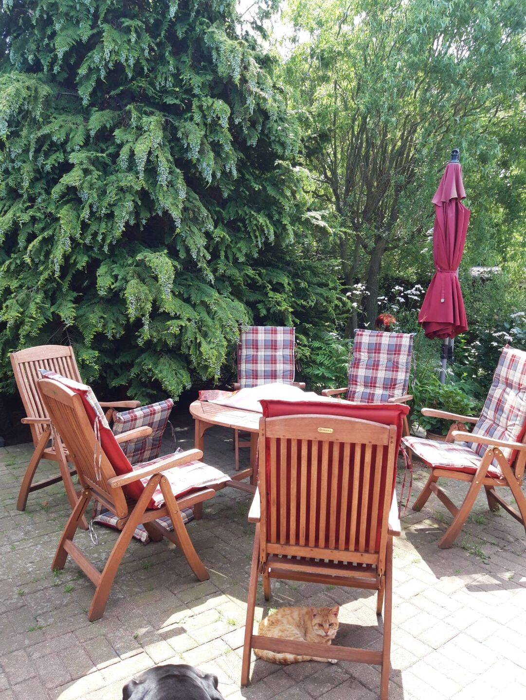 --idyllischer Hof mit 3 ha Hauskoppel-- – Schillsdorf – Vorschaubild 3