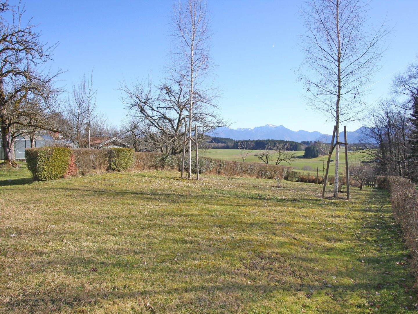 Grundstück mit Altbestand in ruhiger Ortsrandlage und schönem Alpenpanoramablick – Rimsting – Vorschaubild 4